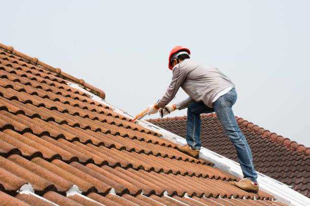 Best Chimney Flashing Repair  in Walnut Hill, TN